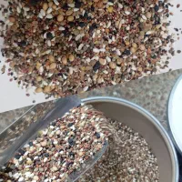 خرید فروش پرندگان زینتی و فروش انواع دان ها|پرنده|تبریز, |دیوار