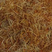 ریشه زعفران