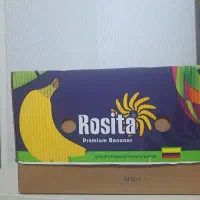 کارتون موزی