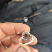 شجر|جواهرات|کرمانشاه, |دیوار