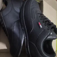 کفش|کیف، کفش، کمربند|دهگلان, |دیوار