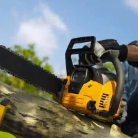 قطع و هرس انواع درختان  ( خدمات کامل باغبانی)