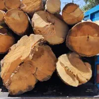 برش درخت وخرید چوب درخت همراه برش رایگان در پاکدشت|خدمات باغبانی و درختکاری|پاکدشت, خاتون آباد|دیوار