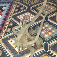 چوب آبنوس|ماهی|مسجد سلیمان, |دیوار