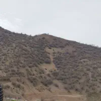وژین (الا)