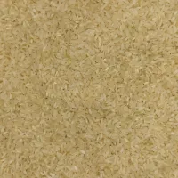 برنج کامفیروزی