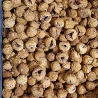 انجیر درجه 1نیریز.