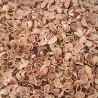 خریدار پوست پسته