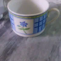 ظروف و فنجان|ظروف سرو و پذیرایی|رشت, حمیدیان|دیوار