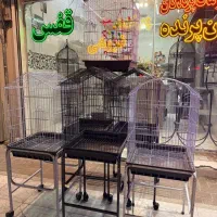 قفس سنگین حرفه‌ای ماکا