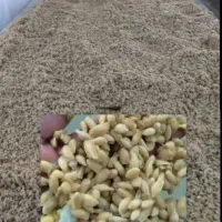 آب نارنج بذرنارنج