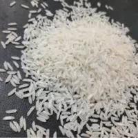 برنج ضیغمی وطارم