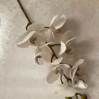 گل ارکیده|گل مصنوعی|ملایر, |دیوار