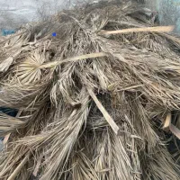 اجاره ای شاک آماده و سیخو برای خیار ۵ متری