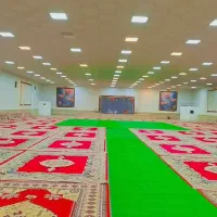 پشتی فرش چمن برای مجالس عروسی