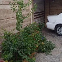 ساختمان نظام مهندسی،اسکلت بتون ،لوکس وفول|فروش خانه و ویلا|نهاوند, |دیوار