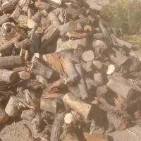 چوب خرد شده|خدمات باغبانی و درختکاری|شاهرود, |دیوار