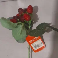 تمشک مصنوعی دکوراتیو