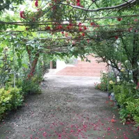 ویلاباغ ۸۰۰متری/سند تک برگ/۱۵۰متر بنا/بر آسفالت