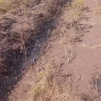 ۲۰۰مترزمین معاوضه باماشین