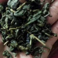 چای سبز مرغوب سوغات افغانستان