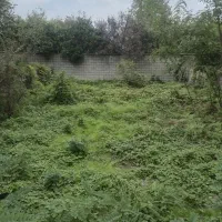 پستک کوی طالقانی ۲۲۳ متر سند