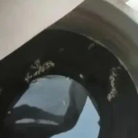 شیره تلخ برای گاو