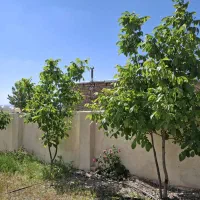 فروش خانه ویلایی ۱۱۰ متری ۱ خوابه|فروش خانه و ویلا|قیدار, |دیوار