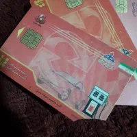 کارت سوخت موتورم گم کردم معلول جسمی ام|اشیا|شیراز, سعدیه جنوبی|دیوار