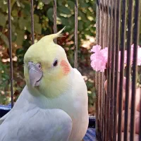 گم شده