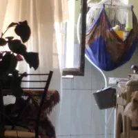 یک جفت عروس هلندی سخنگو با تخم و قفس بزرگ