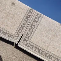 کارگر قالیشویی