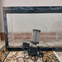 آکواریوم سالم