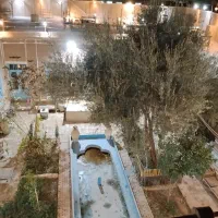 باغ-اصفهانک-خ-درختی-اول