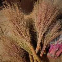 جارو محلی امروز دسته کردم