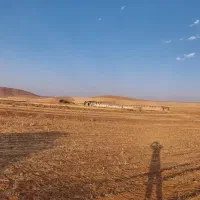 زمین کشاورزی ۳۵۶۰هزار متر در شهر سورشجان|فروش دفتر صنعتی، کشاورزی، تجاری|لاران, |دیوار