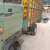 خاورمرغی مشبک مسقف