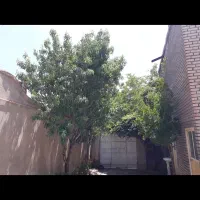 اجاره ویلا ۱۵۰ متری