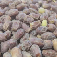 فروش عمده ۲تن قصب درجه یک