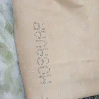 موکت|موکت|گرگان, |دیوار
