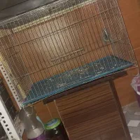قفس|لوازم جانبی حیوانات|شیراز, فرگاز|دیوار