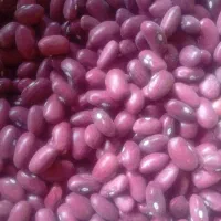 فروش 300کیلو لوبیا قرمز بوجاری غرقابی با 3عدد کود