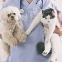 خدمات دامپزشکی در محل