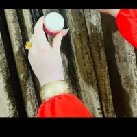 کرم عالی تضمینی