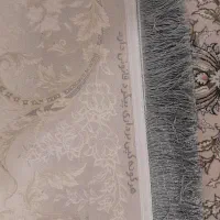 ۱۲متری۱۲۰۰شانه ۳۶۰۰تراکم دو عدد مثله هم در حد پلمپ|فرش|شیراز, شهرک مهدی‌آباد|دیوار