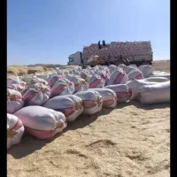 کاه|لوازم جانبی حیوانات|سردرود, |دیوار