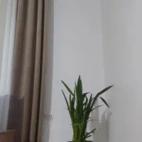 رهن و اجاره خانه