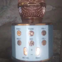 بلندگو سالم
