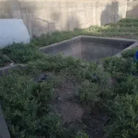 چهار دیواری فروشی فوق العاده|فروش زمین و ملک کلنگی|کاشان, مزرعه نو|دیوار