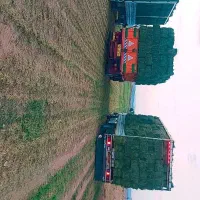 فروش کاه نرم گندم..‌پرس کاه .پرس یونجه انبار|عمده‌فروشی|مشهد, شهرک صنعتی توس|دیوار